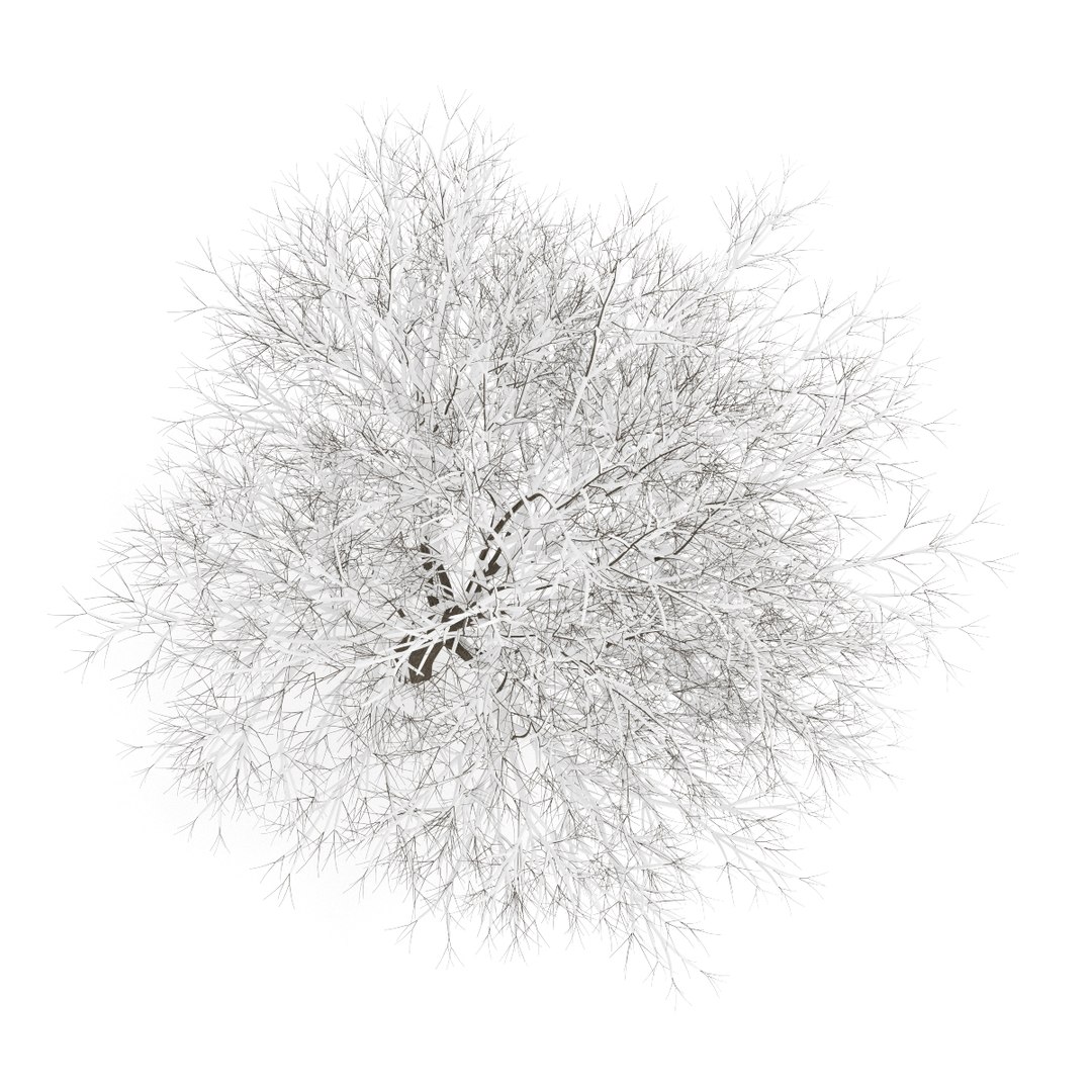 3d volume 28 trees iii model https://p.turbosquid.com/ts-thumb/l1/lkKD8o/GRJOGfgw/27b0000copy/jpg/1361026931/1920x1080/fit_q87/719733b4e7f85c9dc0ca0faf30890161fbacdbaf/27b0000copy.jpg