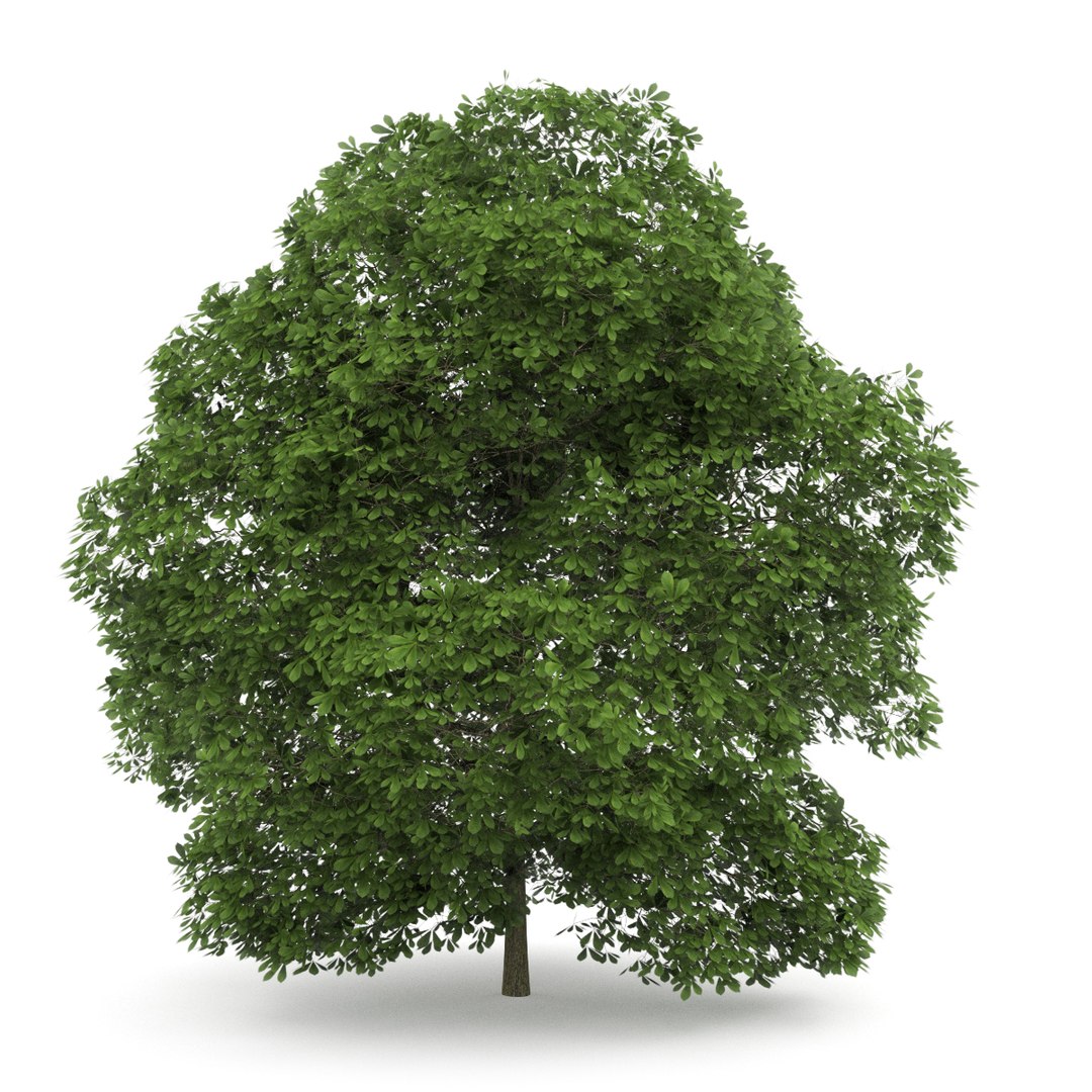 3d volume 28 trees iii model https://p.turbosquid.com/ts-thumb/l1/lkKD8o/GdTl0x6Q/28a0000copy/jpg/1361026931/1920x1080/fit_q87/f6a4d004ebfb1ca2fabf7b711b1544f893e325b6/28a0000copy.jpg
