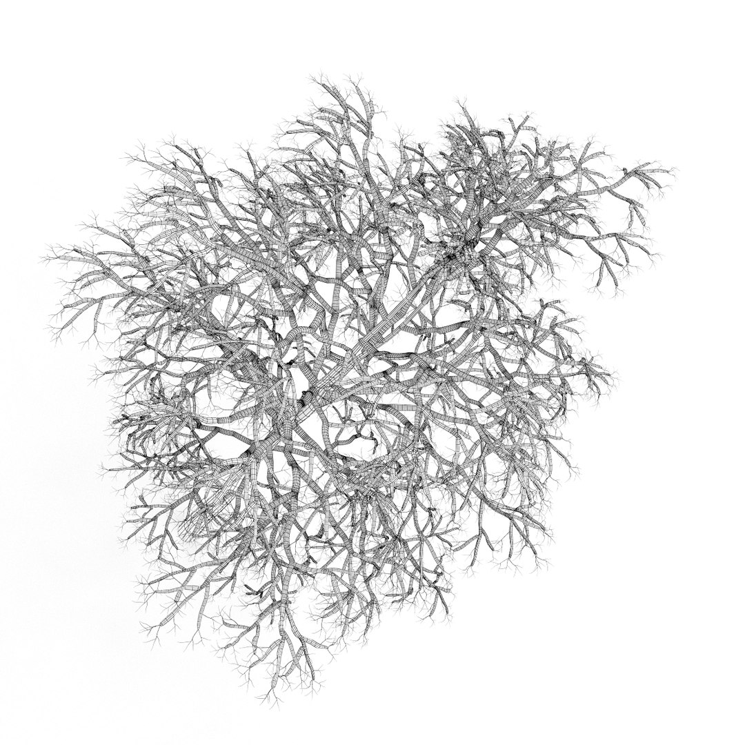 3d volume 28 trees iii model https://p.turbosquid.com/ts-thumb/l1/lkKD8o/HeRJsvYd/18bgrid0000copy/jpg/1361026930/1920x1080/fit_q87/8c413530fa0c768566bb343181880068f8b282db/18bgrid0000copy.jpg