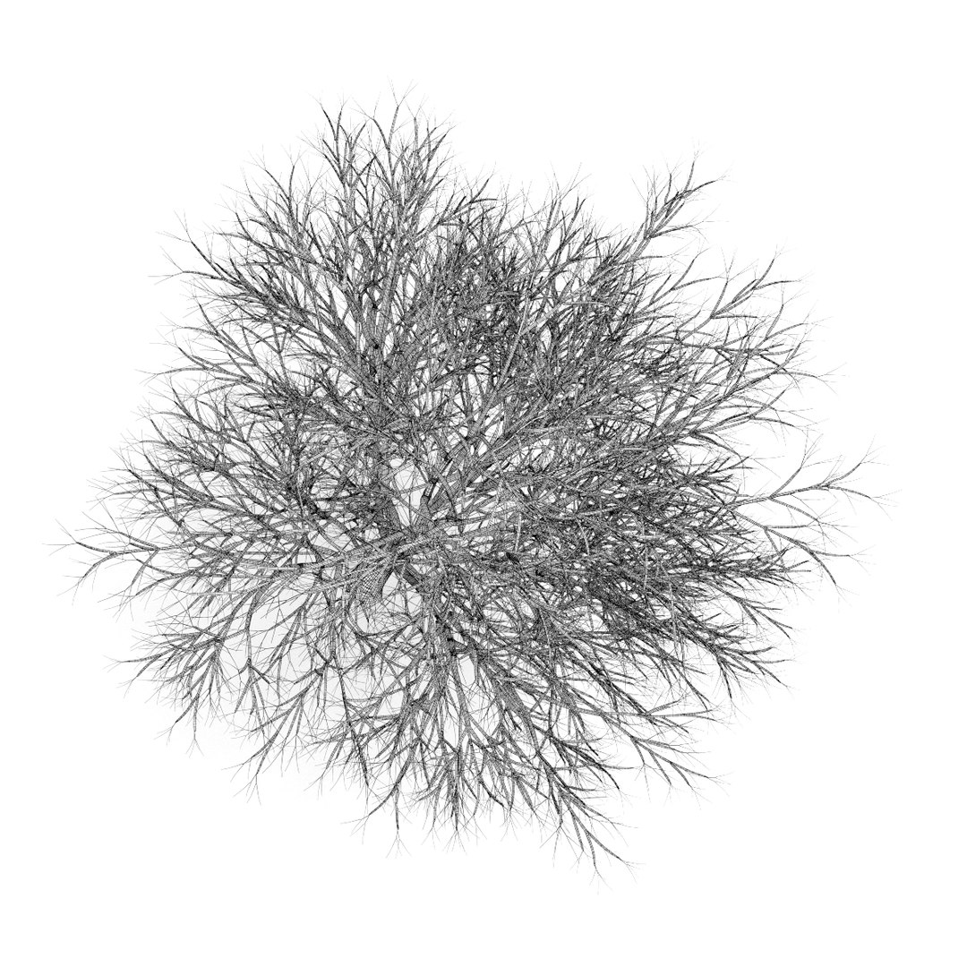 3d volume 28 trees iii model https://p.turbosquid.com/ts-thumb/l1/lkKD8o/IrKQyUVE/27bgrid0000copy/jpg/1361026931/1920x1080/fit_q87/1295909b26b2e794604ec8975534d447ccaeef39/27bgrid0000copy.jpg