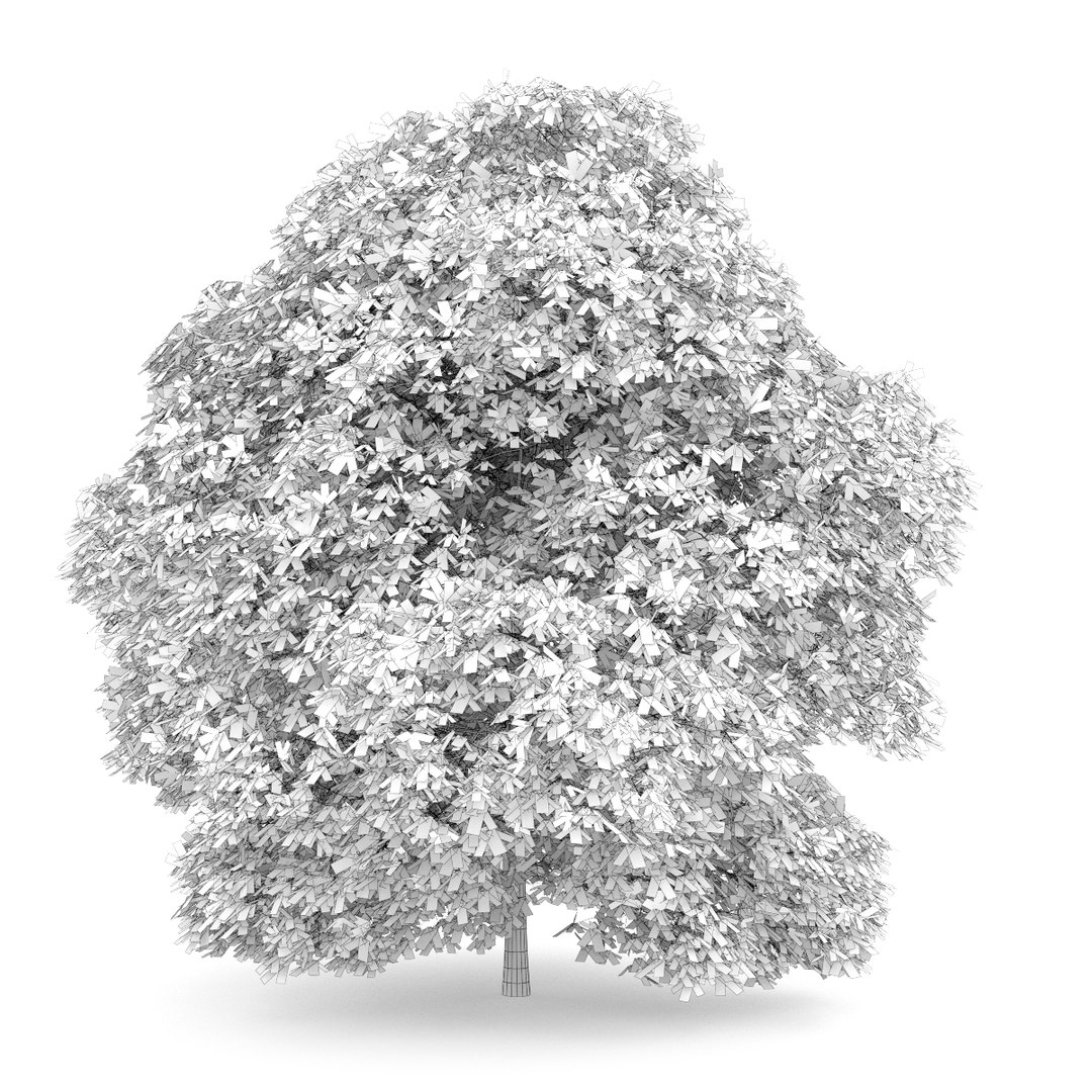 3d volume 28 trees iii model https://p.turbosquid.com/ts-thumb/l1/lkKD8o/LXjGxicN/28agrid0000copy/jpg/1361026931/1920x1080/fit_q87/270fe5c1d8fbade9940ffb971e59a9352d20eb4e/28agrid0000copy.jpg