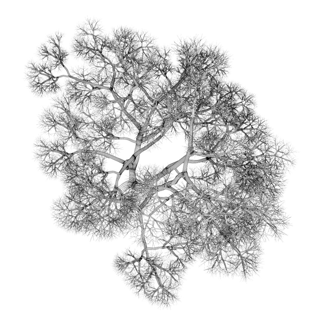 3d volume 28 trees iii model https://p.turbosquid.com/ts-thumb/l1/lkKD8o/MMHiEZ5p/24bgrid0000copy/jpg/1361026931/1920x1080/fit_q87/6feaf215dc624c4d2db9515acd226e2df17513c1/24bgrid0000copy.jpg