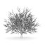 CGAxis Models Volume 28 Trees III