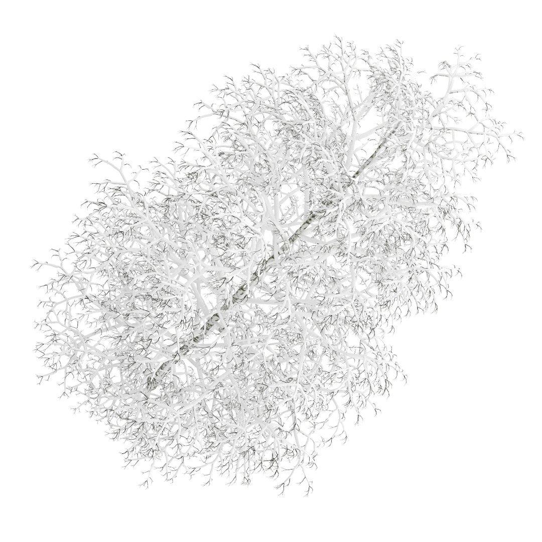 3d volume 28 trees iii model https://p.turbosquid.com/ts-thumb/l1/lkKD8o/QThPnUX2/15b0000copy/jpg/1361026930/1920x1080/fit_q87/327386f169f15e4737949f578d321998ccfaa471/15b0000copy.jpg