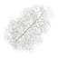 CGAxis Models Volume 28 Trees III