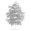 CGAxis Models Volume 28 Trees III