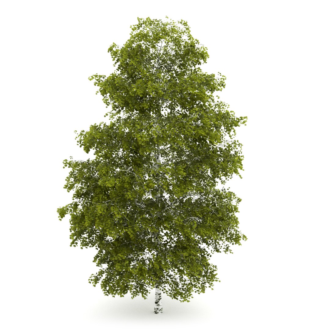 3d volume 28 trees iii model https://p.turbosquid.com/ts-thumb/l1/lkKD8o/SQMCzlcI/13acopy/jpg/1361026929/1920x1080/fit_q87/79f93527f1a2fed44f637dc37a0fc29ae0ed6171/13acopy.jpg
