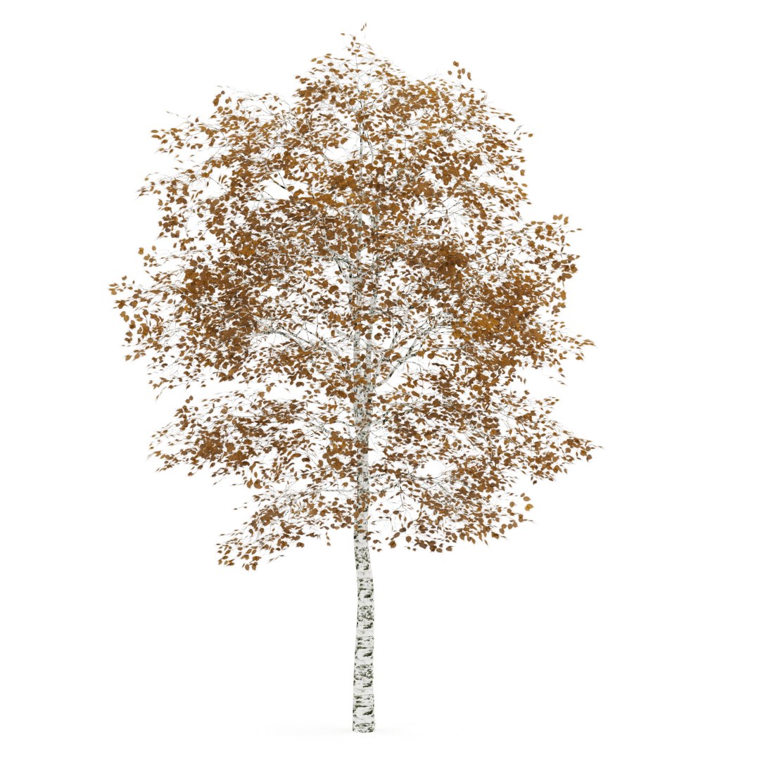 3d volume 28 trees iii model https://p.turbosquid.com/ts-thumb/l1/lkKD8o/SY32CJoP/17a0000copy/jpg/1361026930/1920x1080/fit_q87/56e3028ff0fd6ad84ed6de69e2d3ed458a84038d/17a0000copy.jpg