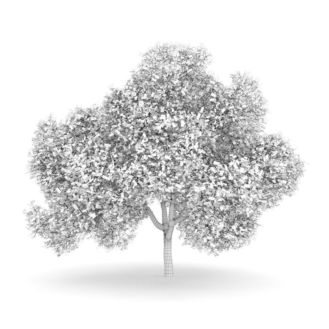 3d volume 28 trees iii model https://p.turbosquid.com/ts-thumb/l1/lkKD8o/TuH2Vde7/23agrid0000copy/jpg/1361026931/1920x1080/fit_q87/b04d9b7a068eb43a2a7c45ee747e981af0014986/23agrid0000copy.jpg