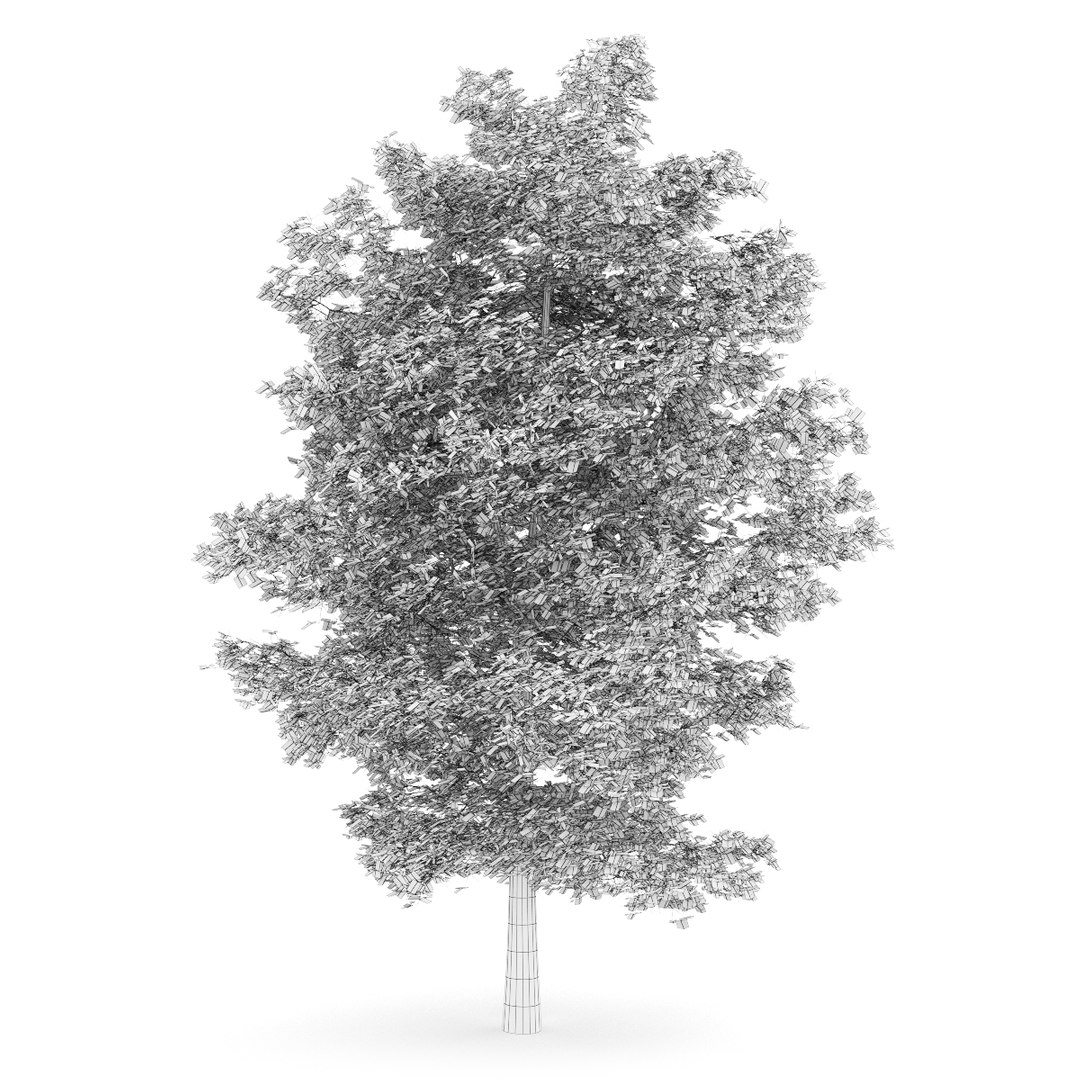 3d volume 28 trees iii model https://p.turbosquid.com/ts-thumb/l1/lkKD8o/XK9pc3Gf/07agrid0000copy/jpg/1361026929/1920x1080/fit_q87/c53a34ee783168580d0ee72e0e1e07314d8503b7/07agrid0000copy.jpg