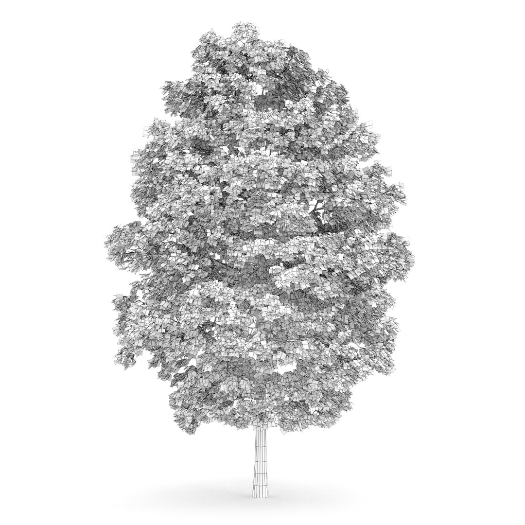3d volume 28 trees iii model https://p.turbosquid.com/ts-thumb/l1/lkKD8o/ZErKzQBb/05agrid0000copy/jpg/1361026928/1920x1080/fit_q87/30c069ace22aedda733595b2cfb79ea2c3b541a7/05agrid0000copy.jpg
