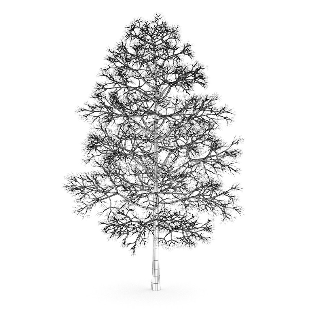 3d volume 28 trees iii model https://p.turbosquid.com/ts-thumb/l1/lkKD8o/ZFZwymaH/06agridcopy/jpg/1361026928/1920x1080/fit_q87/52833570a1ada31f3720aa324321b3e27726e81d/06agridcopy.jpg