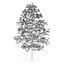CGAxis Models Volume 28 Trees III