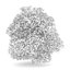 CGAxis Models Volume 28 Trees III