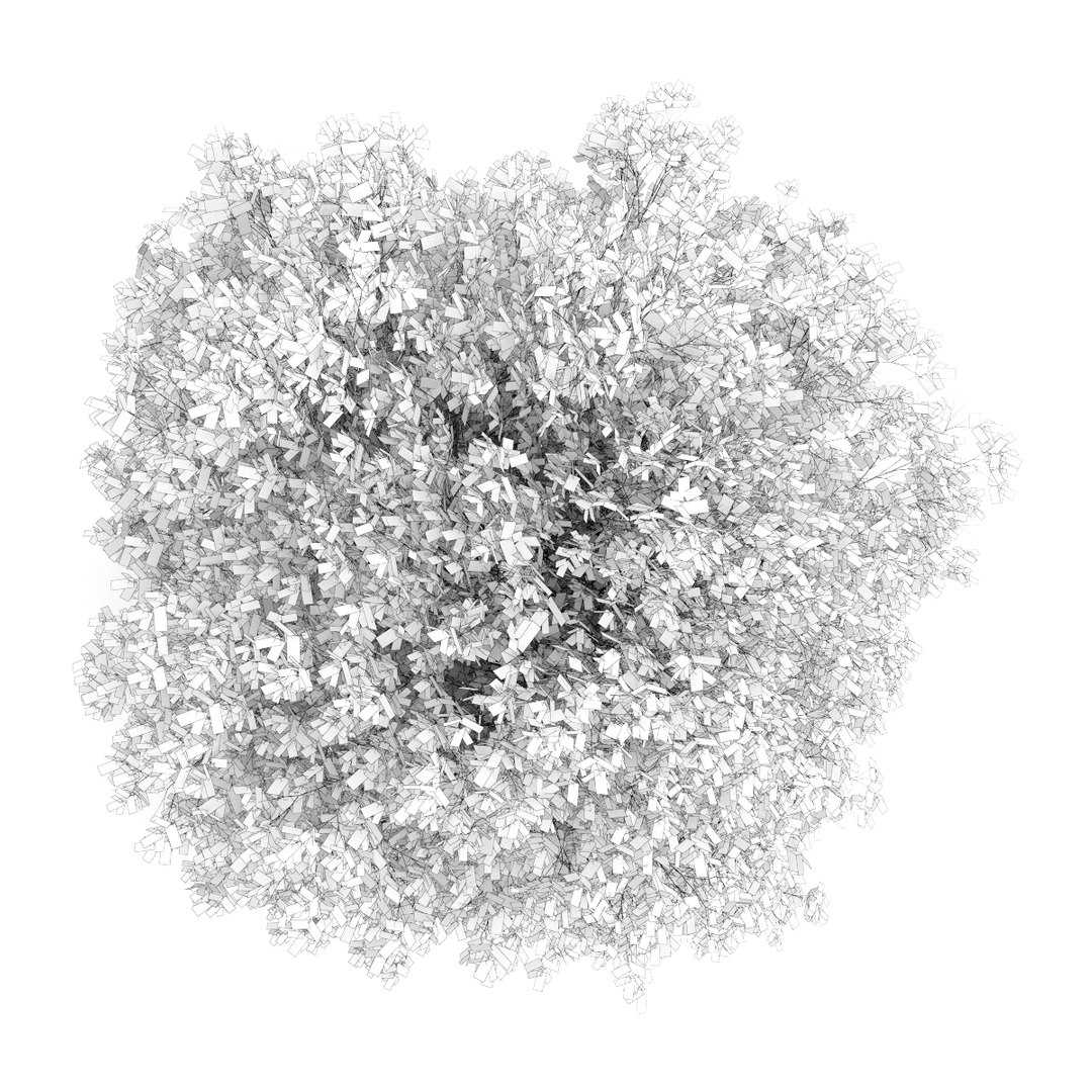 3d volume 28 trees iii model https://p.turbosquid.com/ts-thumb/l1/lkKD8o/ZuUm6F9j/25bgrid0000copy/jpg/1361026931/1920x1080/fit_q87/0241279d09e43d0003614beae3e83c50acb14fab/25bgrid0000copy.jpg