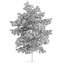 CGAxis Models Volume 28 Trees III