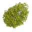 CGAxis Models Volume 28 Trees III