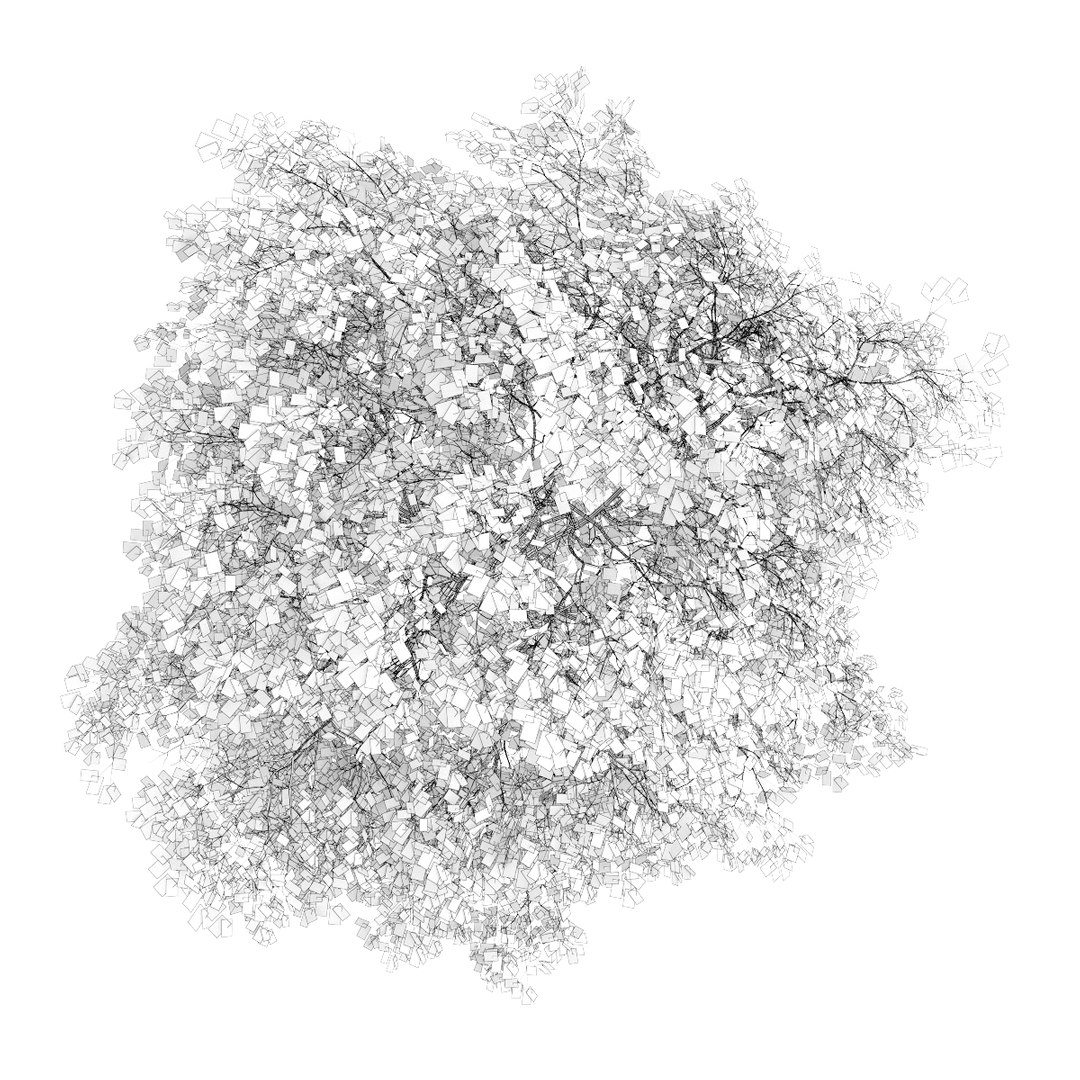 3d volume 28 trees iii model https://p.turbosquid.com/ts-thumb/l1/lkKD8o/bpN5dgFh/17bgrid0000copy/jpg/1361026930/1920x1080/fit_q87/d487089f2c2374290448812e401cabf021e149b7/17bgrid0000copy.jpg