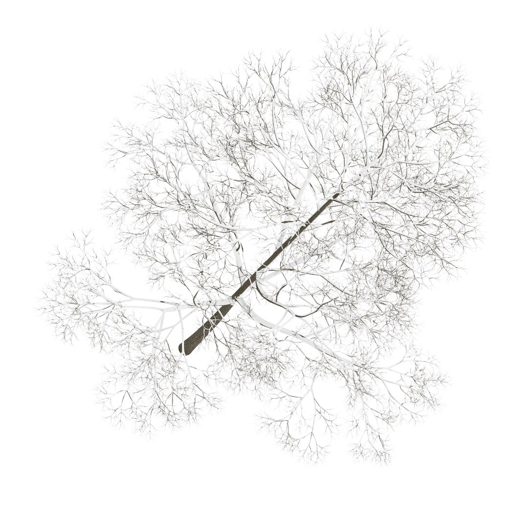 3d volume 28 trees iii model https://p.turbosquid.com/ts-thumb/l1/lkKD8o/drVqoQzB/03b0000copy/jpg/1361026928/1920x1080/fit_q87/931dcf0c0416be810ac83bf0c839497a2c4f18fd/03b0000copy.jpg