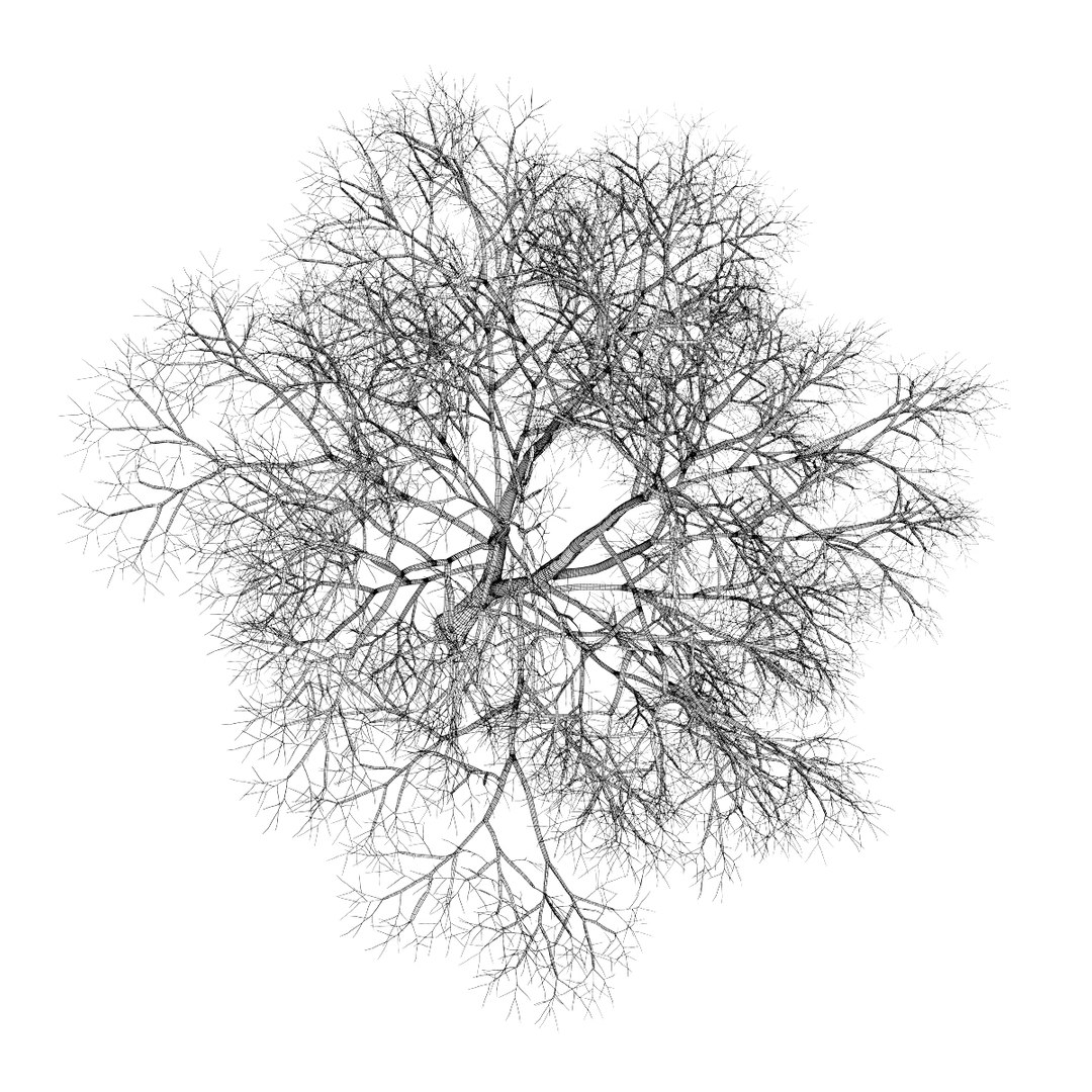 3d volume 28 trees iii model https://p.turbosquid.com/ts-thumb/l1/lkKD8o/efaiDKm9/21bgrid0000copy/jpg/1361026930/1920x1080/fit_q87/558e55cb90515ba8147379bb2525484ad57cc378/21bgrid0000copy.jpg