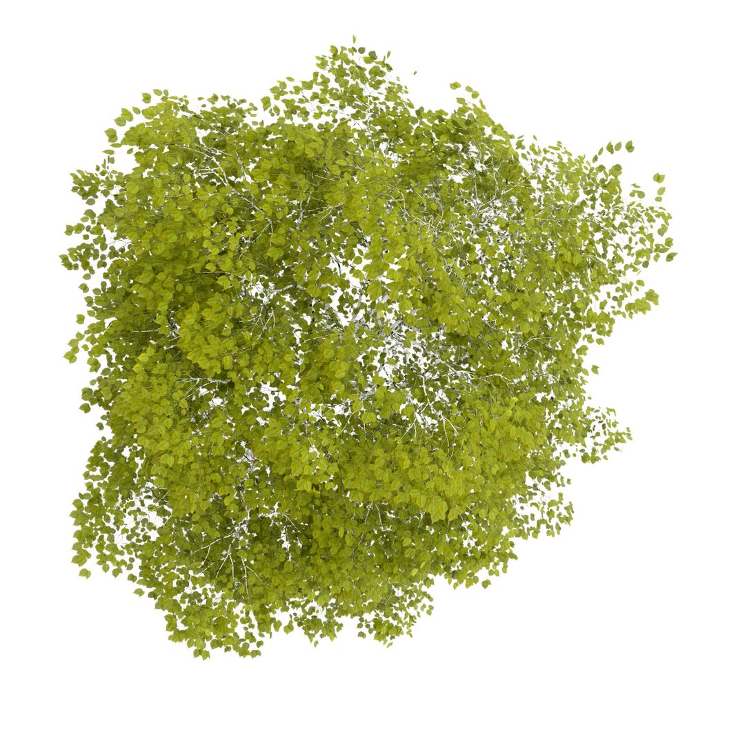 3d volume 28 trees iii model https://p.turbosquid.com/ts-thumb/l1/lkKD8o/gclou1G8/16b0000copy/jpg/1361026930/1920x1080/fit_q87/1765cdc06a5fbff3d4961a2fb8a6cdbc7af945f3/16b0000copy.jpg
