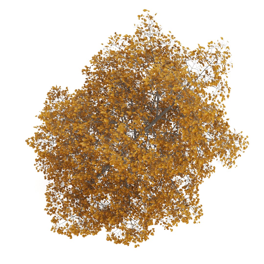 3d volume 28 trees iii model https://p.turbosquid.com/ts-thumb/l1/lkKD8o/hJqc2HZE/11b0000copy/jpg/1361026929/1920x1080/fit_q87/7cfcf3757c79ccbcf5f8648bdbbe0489e630ac5c/11b0000copy.jpg