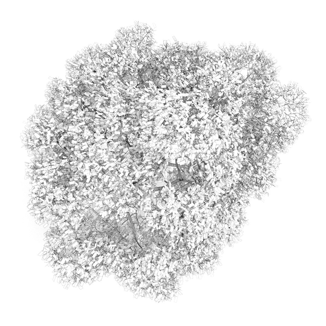 3d volume 28 trees iii model https://p.turbosquid.com/ts-thumb/l1/lkKD8o/i1Z1NTUO/23bgrid0000copy/jpg/1361026931/1920x1080/fit_q87/47ca802804b895e1ae0c102c617ab7c89677bdd7/23bgrid0000copy.jpg
