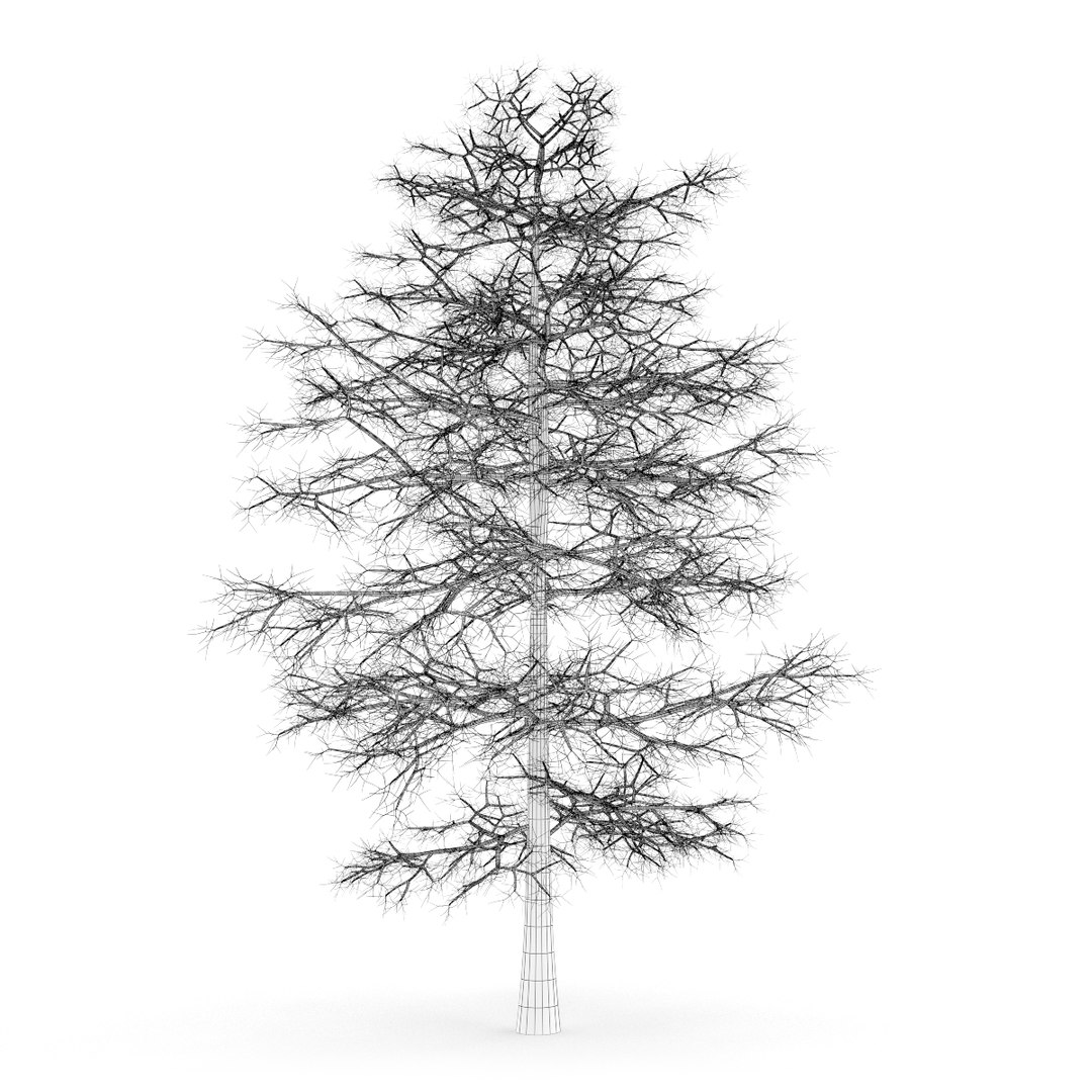 3d volume 28 trees iii model https://p.turbosquid.com/ts-thumb/l1/lkKD8o/iO4GstBv/09agrid0000copy/jpg/1361026929/1920x1080/fit_q87/4567eff89221d41c1c08419ce34ca6deaeb774de/09agrid0000copy.jpg