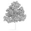 CGAxis Models Volume 28 Trees III