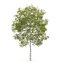 CGAxis Models Volume 28 Trees III