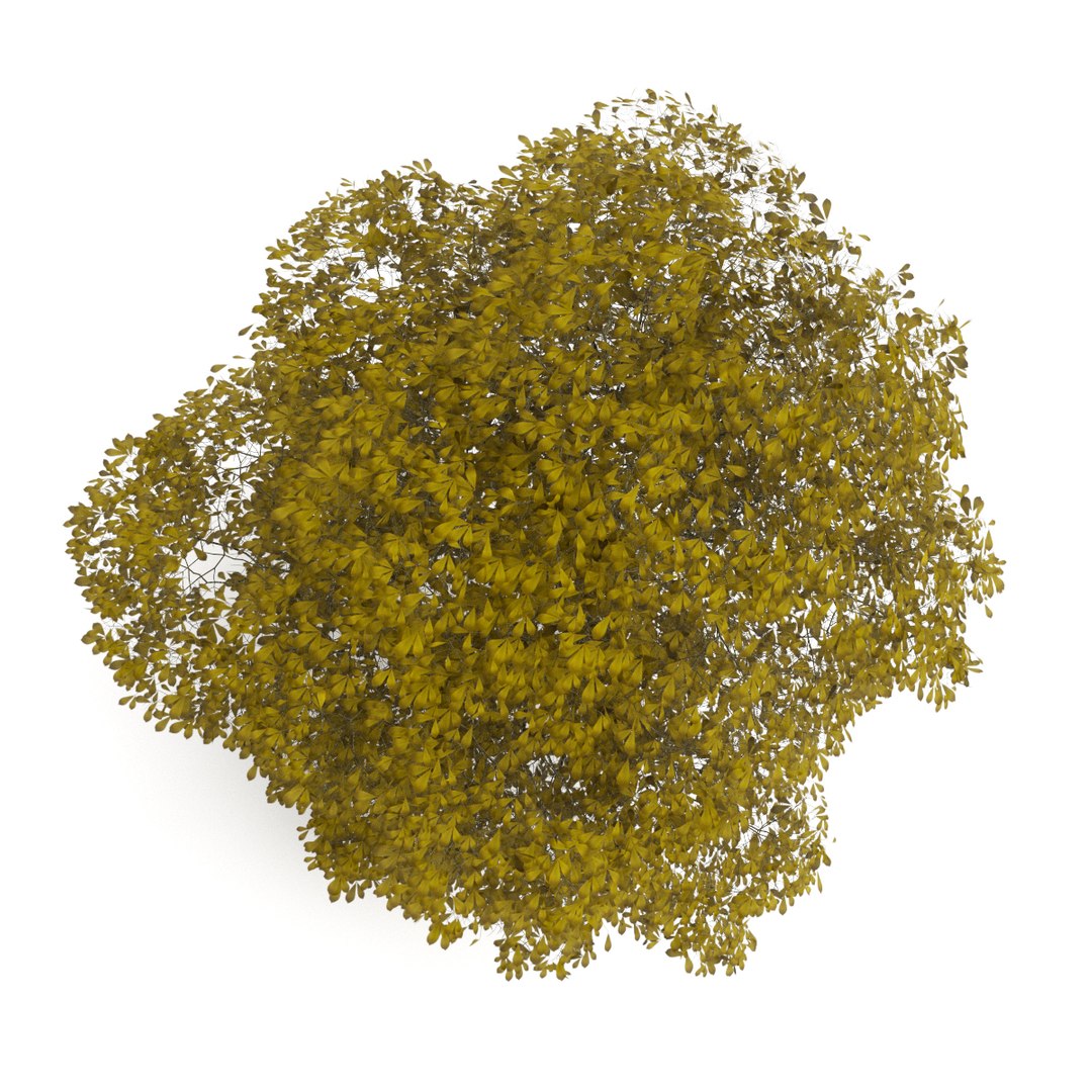 3d volume 28 trees iii model https://p.turbosquid.com/ts-thumb/l1/lkKD8o/ll9Sll5s/29b0000copy/jpg/1361026931/1920x1080/fit_q87/e955e03737fc3fcb6ddf6f386abcc6e0d6718ee5/29b0000copy.jpg