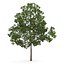 CGAxis Models Volume 28 Trees III