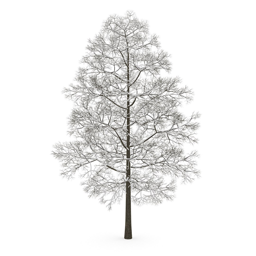 3d volume 28 trees iii model https://p.turbosquid.com/ts-thumb/l1/lkKD8o/nLJNBAST/06acopy/jpg/1361026928/1920x1080/fit_q87/79875b8a9fd5b49547dd2c442cf76832b395308f/06acopy.jpg