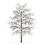 CGAxis Models Volume 28 Trees III
