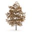 CGAxis Models Volume 28 Trees III