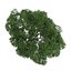 CGAxis Models Volume 28 Trees III