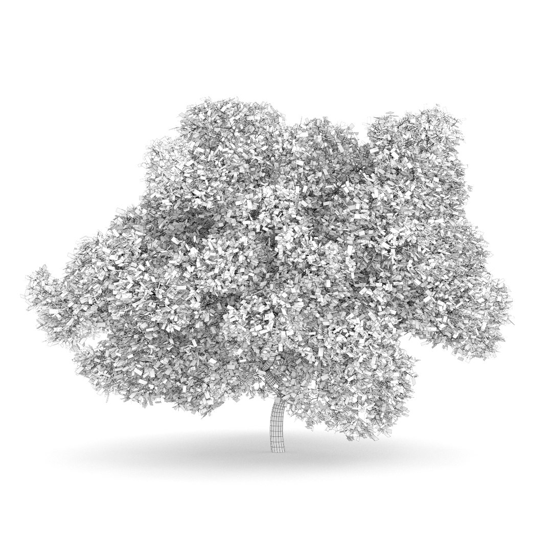 3d volume 28 trees iii model https://p.turbosquid.com/ts-thumb/l1/lkKD8o/v4mCdLXy/22agrid0000copy/jpg/1361026931/1920x1080/fit_q87/e9d1f3ed544a700ce90bb39dfd34435e1d668fb4/22agrid0000copy.jpg
