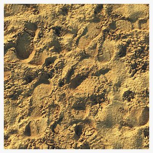 Wet sand material with footprints