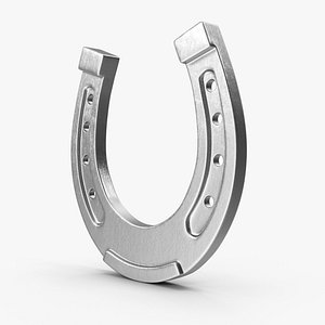 Steel Horseshoe