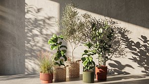 Ficus lyrata olive tree reed grass basket plants decor model