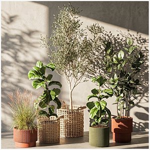 Ficus lyrata olive tree reed grass basket plants decor model