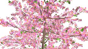 flower tree red color 3D model