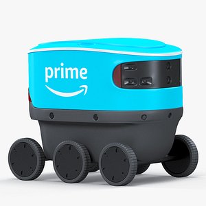 3D scout delivery robot