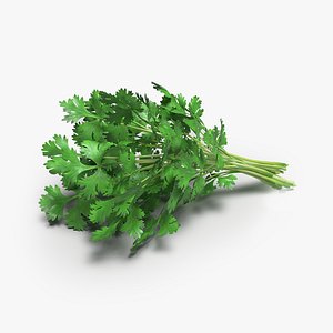 Parsley