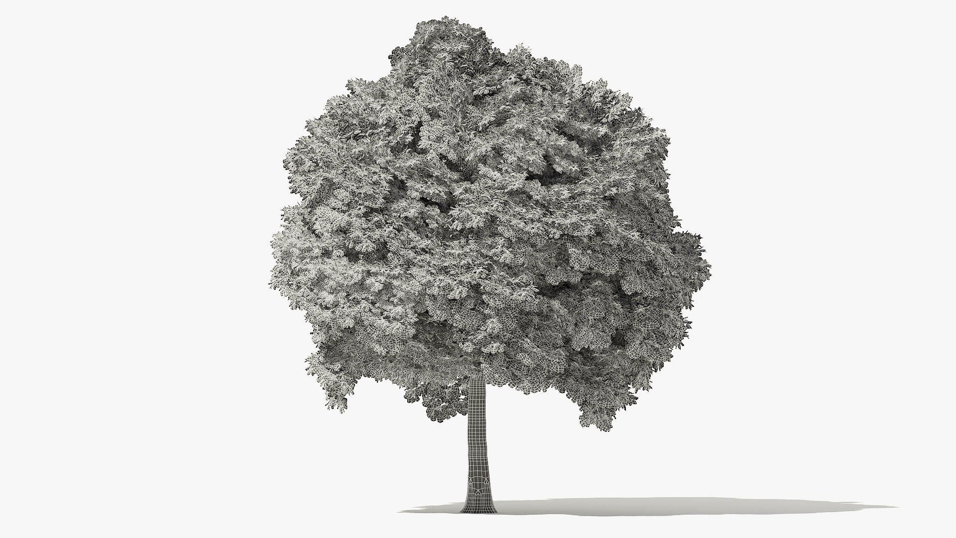 3D autumn norway maple tree https://p.turbosquid.com/ts-thumb/l2/FNmOd5/gFHXH2l5/14_meter_autumn_norway_maple_grid_turntable_000000/jpg/1575404153/1920x1080/fit_q87/f41aac4c4fffe5a2b33f06232010edcd65def9c7/14_meter_autumn_norway_maple_grid_turntable_000000.jpg