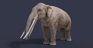 extinct animals version 13 3D model