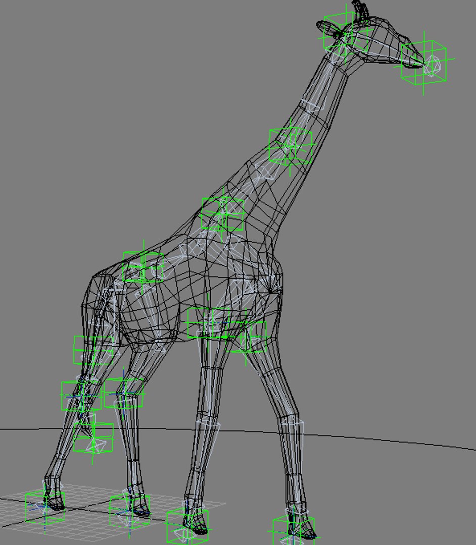 Giraffe Max