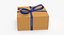 gift cardboard package box 3D model