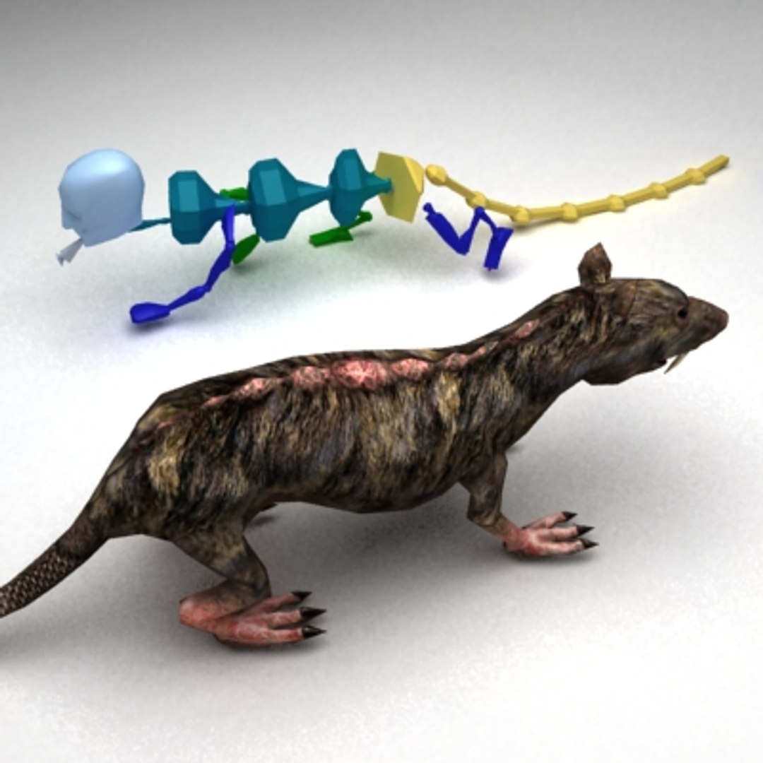 Rat Rigged Normal 3ds
