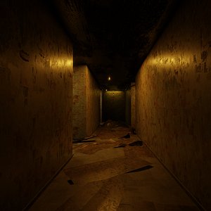 Damaged Hallway